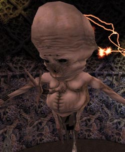 Xen
